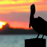 Sunrise Beach 709
