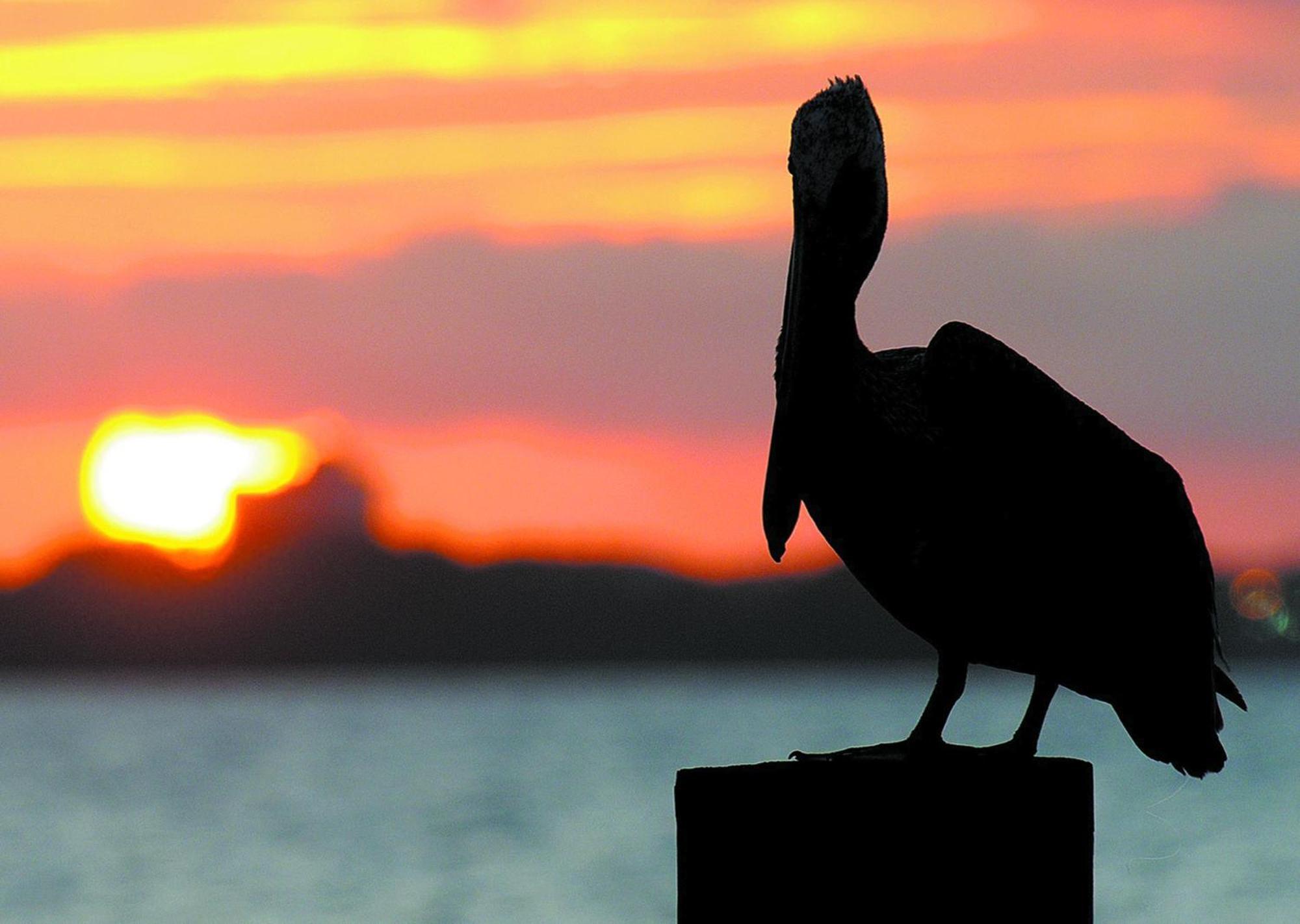 Sunrise 709 Holiday home Panama City Beach